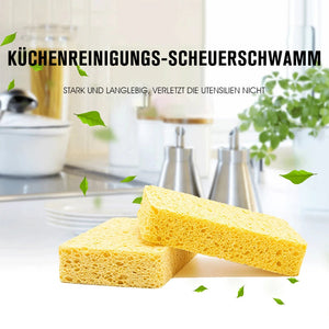 Küchenreinigungs-Scheuerschwamm