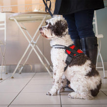 Laden Sie das Bild in den Galerie-Viewer, Oxford- Gewebe Ziehweste für Hunde
